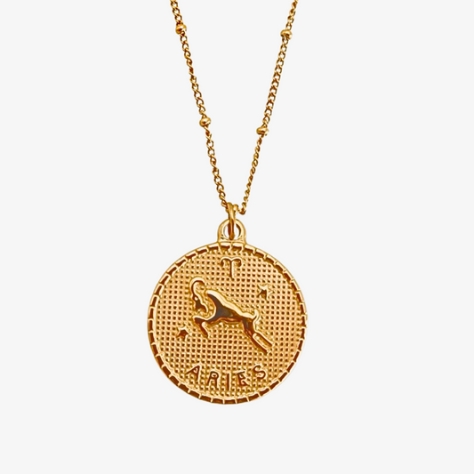 My Zodiac Coin Necklace